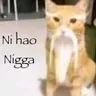NihaoNiggas